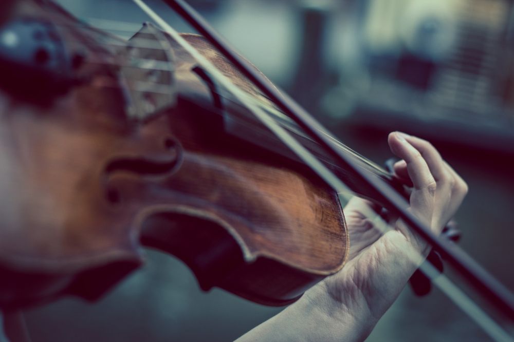 Violinbygger: Professionel service til din violin