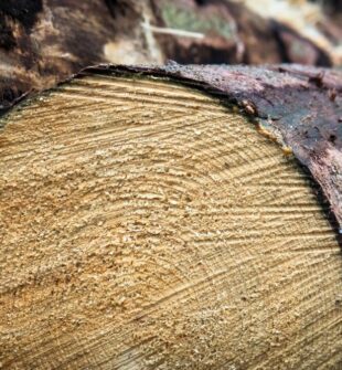 Guide til lasering af træ