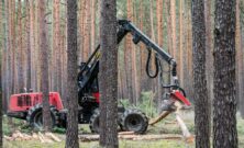 Skoventreprenør: professionel hjælp til skov, natur og biomasse