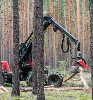 Skoventreprenør: professionel hjælp til skov, natur og biomasse
